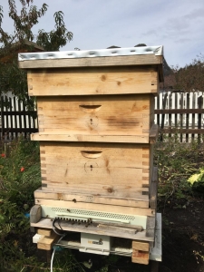 Bienenstock mit BeeSaver in Eisenkappel