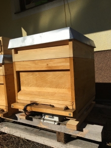 Bienenstock mit BeeSaver in Klagenfurt